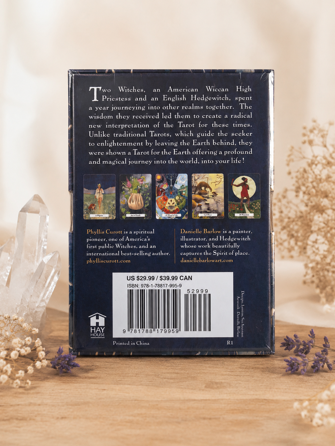 The Witches' Wisdom Tarot – 78-Card Deck & Guidebook (New & Sealed)